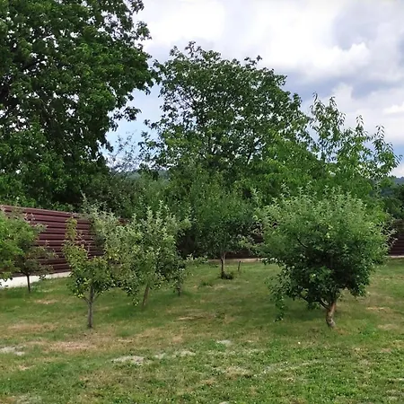 Agropensiunea Anotimpuri Albestii Paminteni